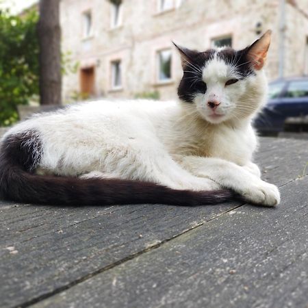 Apartamenty U Golebiewskich Stara Kamienica Luaran gambar