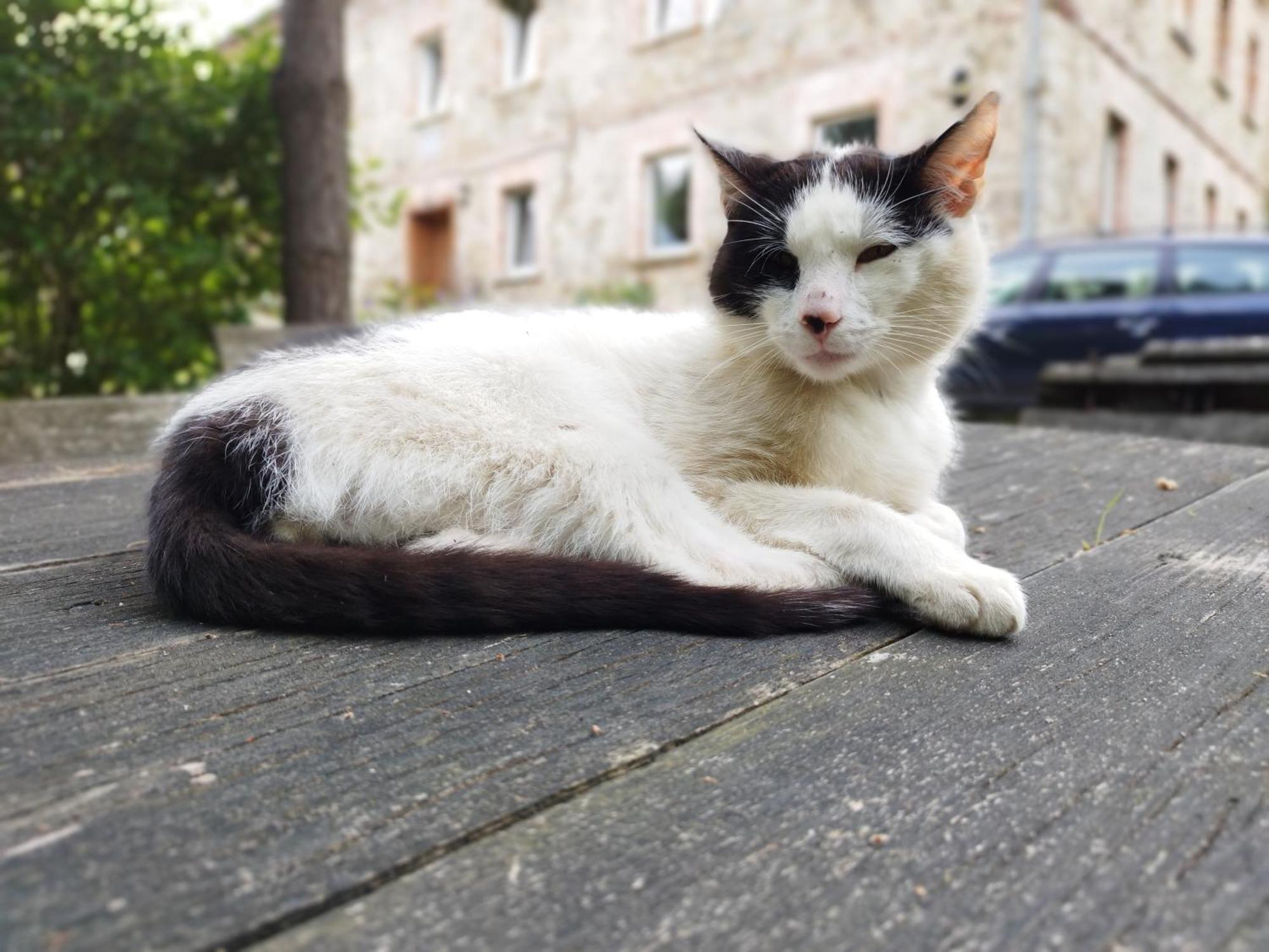 Apartamenty U Golebiewskich Stara Kamienica Luaran gambar